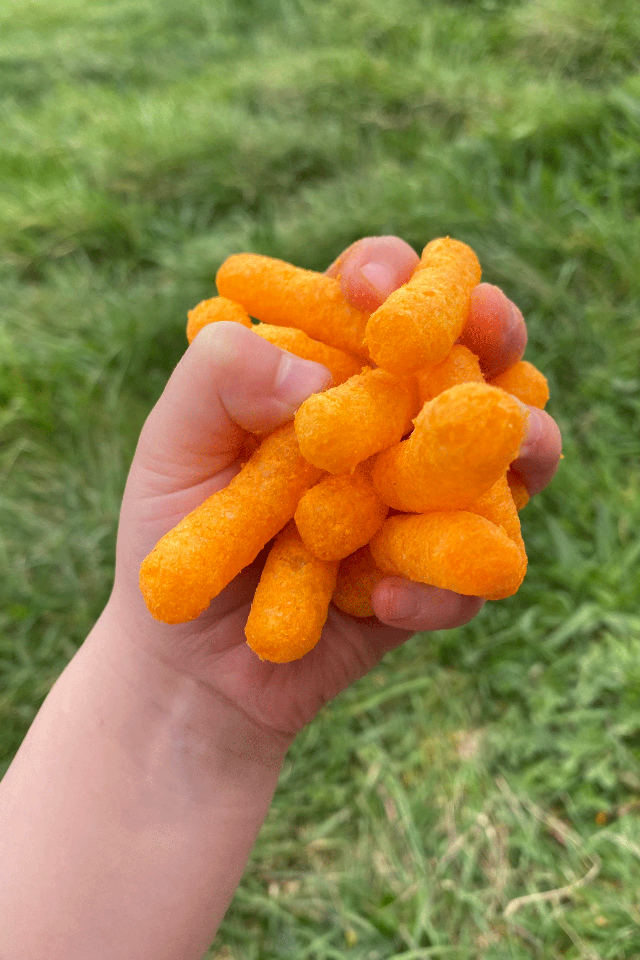 Cheese Fingers